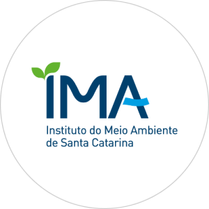 logo-ima-sc.png